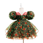 Red and green girls Christmas dress with bow and mesh tutu skirt
