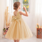 Classic mesh tutu flower girl wedding dress