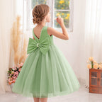 Classic mesh tutu flower girl wedding dress