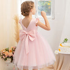 Princess tutu flower girl dress with mesh bow