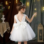 Classic mesh tutu flower girl wedding dress