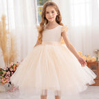 Princess tutu flower girl dress with mesh bow