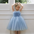 Puffy mesh girls princess party dress
