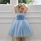 Puffy mesh girls princess party dress