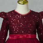 Girls long sleeve sequin Christmas dress with tulle skirt