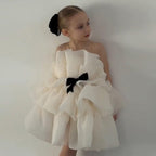 Ruffle cake tiered flower girl and birthday dress