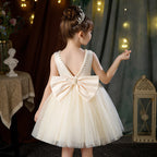 Classic mesh tutu flower girl wedding dress