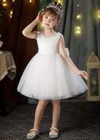 Classic mesh tutu flower girl wedding dress