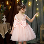 Classic mesh tutu flower girl wedding dress