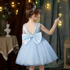 Classic mesh tutu flower girl wedding dress