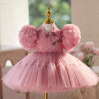 Rosette-covered bodice and mandarin collar on the dusty rose princess dress for girls, angled view.