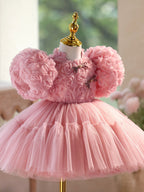 Close view of the frog button collar and rosette bodice on the dusty rose dress, side view 2.