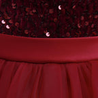 Burgundy sequin girls party dress with tulle skirt and satin waistband, designed for birthdays and holidays, view 6