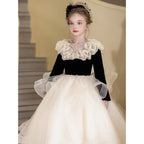 Champagne ball gown with a velvet bodice and organza sleeves, angled view, for a banquet.
