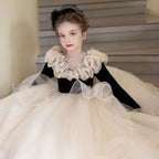 Champagne organza princess dress for girls with a sweeping skirt, full length view.