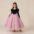 Velvet Feather Tulle Gown in Black – front view