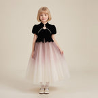 Velvet Ombre Tulle Princess Gown in Black – front view
